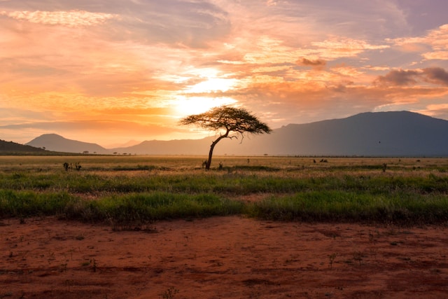 eSIM Kenya — mobil adatcsomag Kenyába